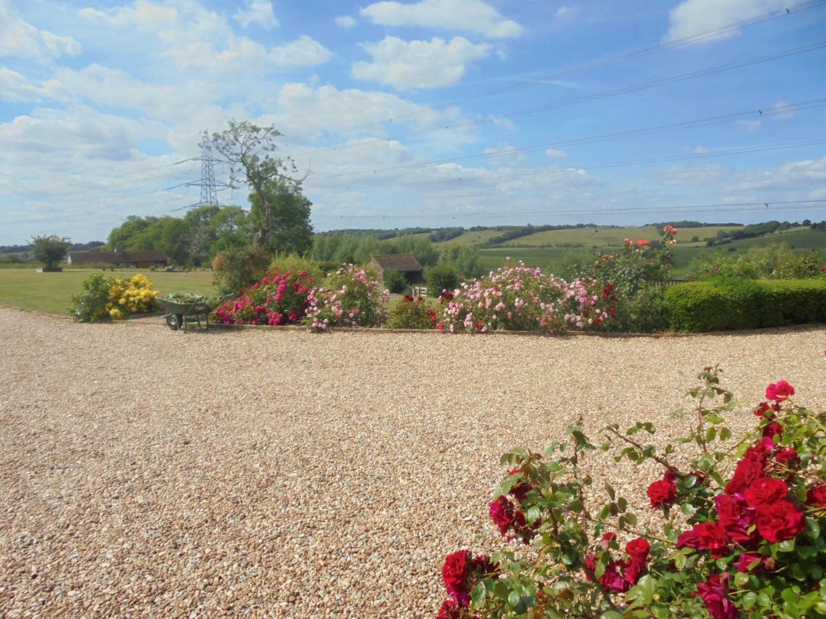 Rose Cottage Rye Exteriör bild